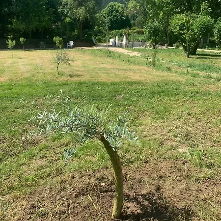 Clos Augusta 3 Hébergement de vacances